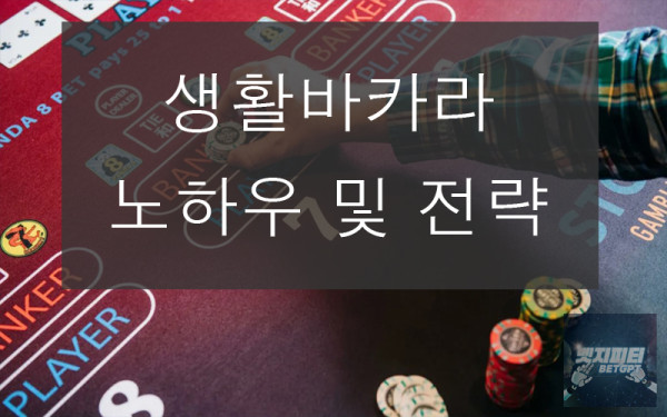 생활바카라 노하우 및 전략 (생바 Tip)