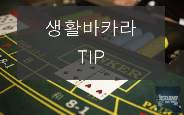 생활바카라 노하우 및 전략 (생바 Tip)